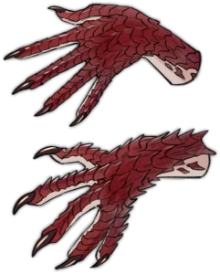 咖爪的形态变化